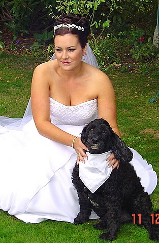 TnNadien met de hond